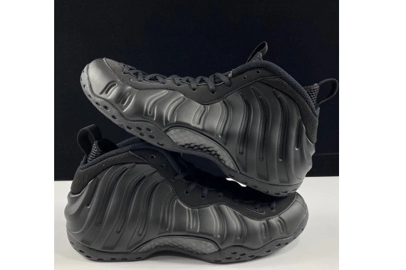 Nike Foamposite One Air 314996-001 Anthracite 1005